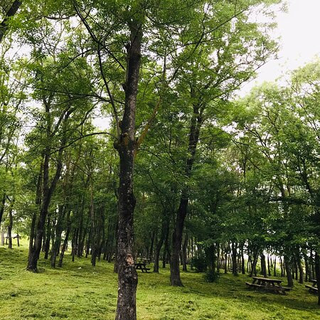 Sarigazel Tabiat Parki-萨姆森必去景点
