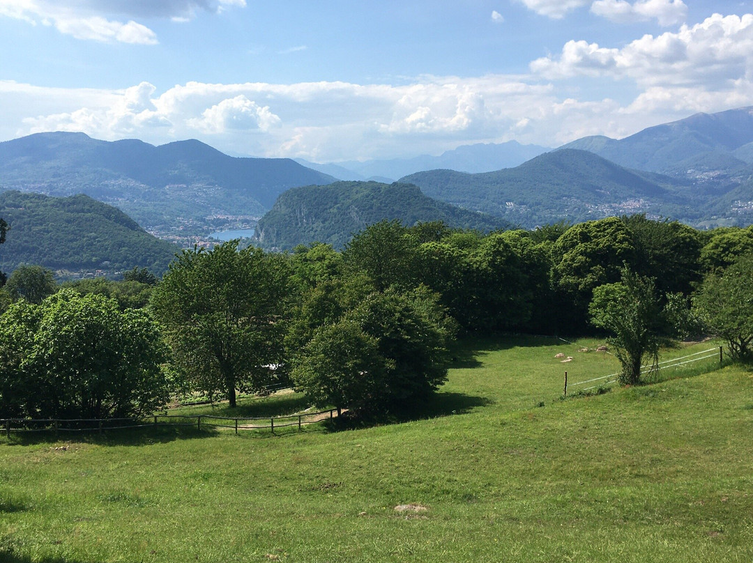 Chiesa Di Santa Maria Assunta - Torello景点图片