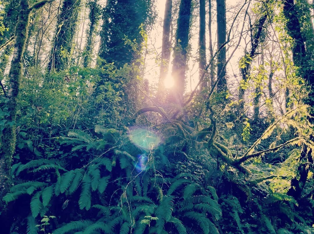 Lacamas Park Trail-Camas必去景点