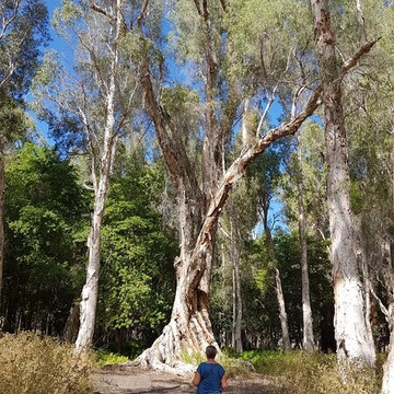 Hampstead Tours-Richmond必去景点