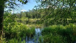 Brendan T. Byrne State Forest-New Lisbon必去景点