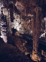 Mammoth Cave景点图片