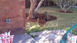 Riad Les Deux Citronniers Chambres D'Hotes, Garden & Spa主图