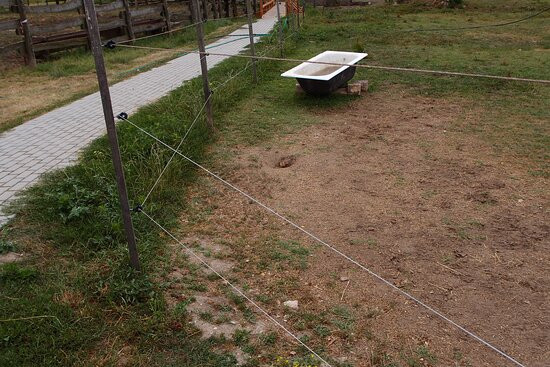 Kápolnapuszta Buffalo Reservation-Zalakomar必去景点