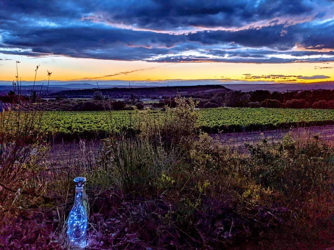 Domaine de la Bouvaude景点图片