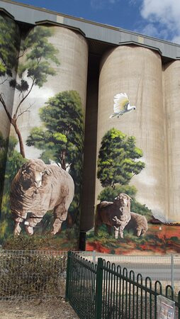 Karoonda Silo Art-Karoonda必去景点