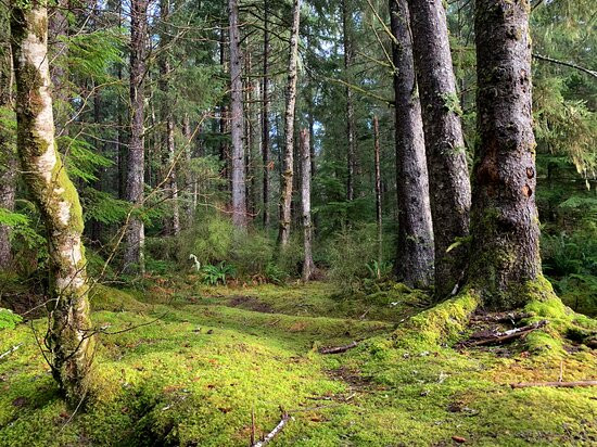 Kagan Bay Recreation Site-Daajing Giids必去景点