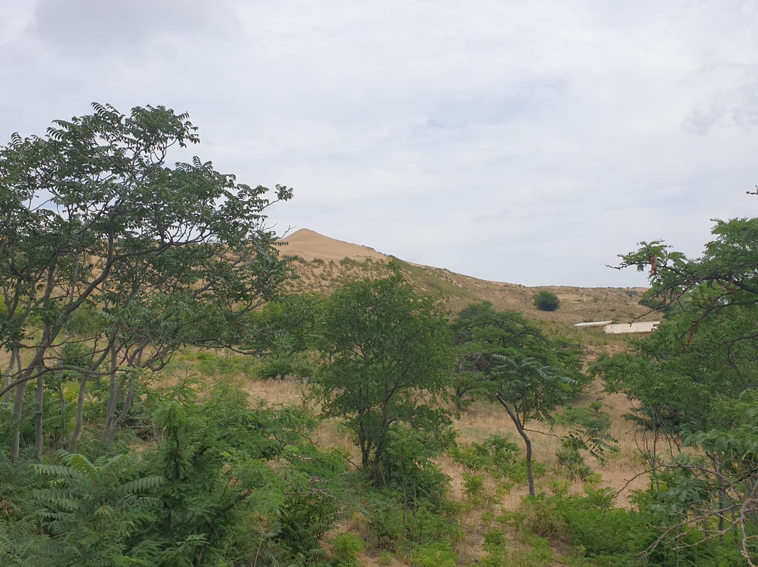 Sarikum Dune景点图片