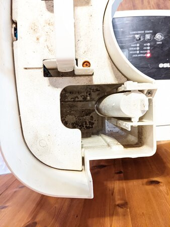 Forrest Hills Resort主图