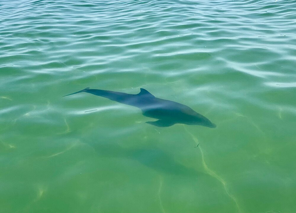 Capt. Clint Moore-Sugarloaf Key必去景点