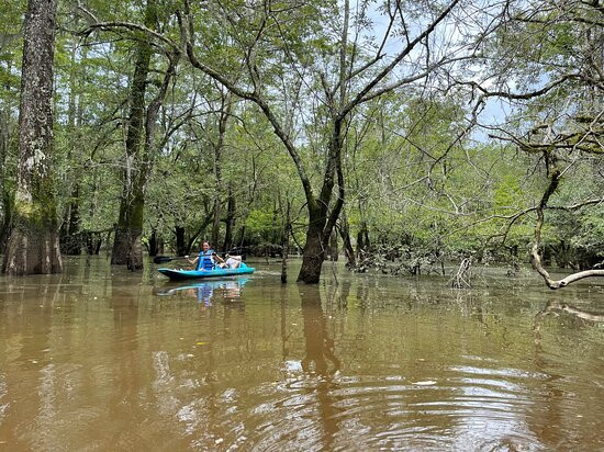 Honey Island Kayak Tours景点图片