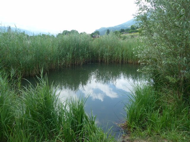 Lac de Saint-André景点图片