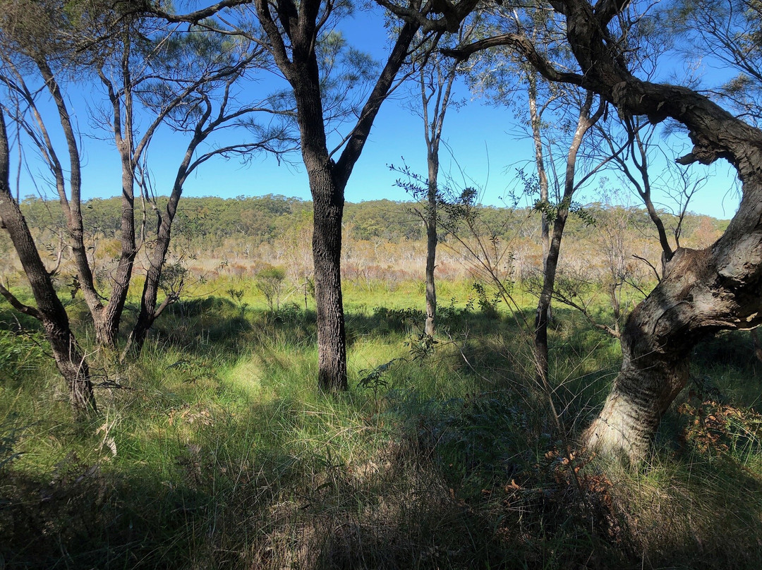Russell Island Conservation Corner景点图片