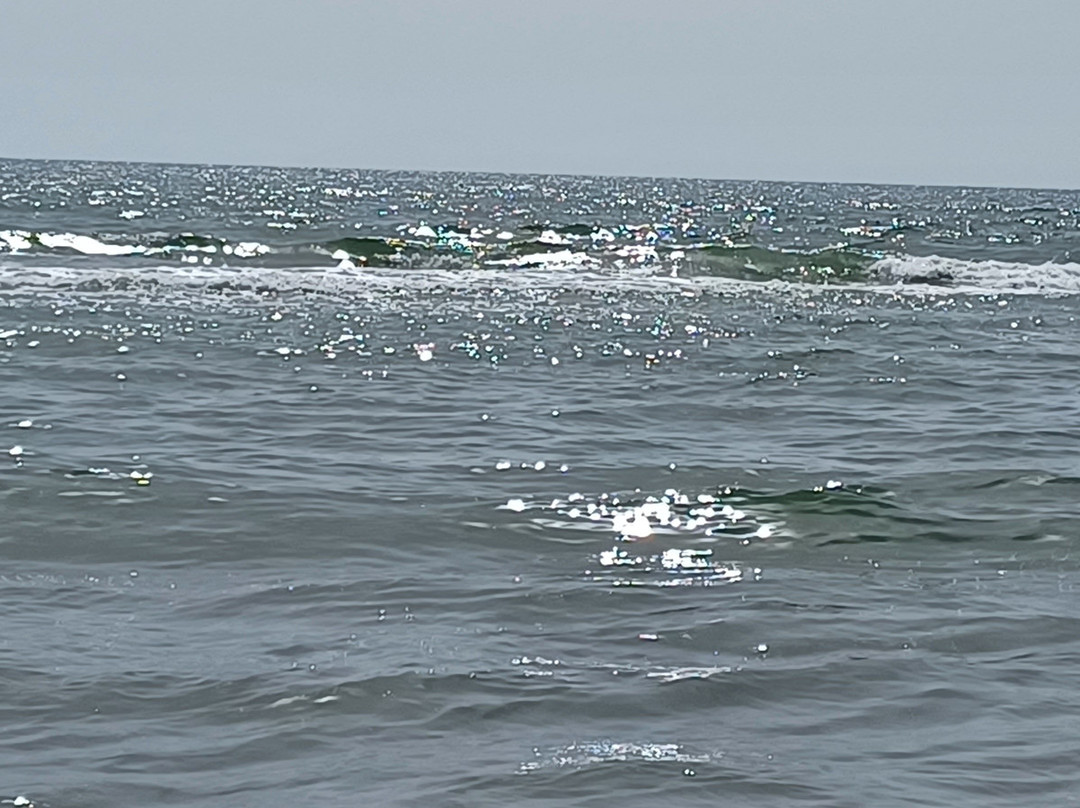 Lido Copacabana Beach-club景点图片