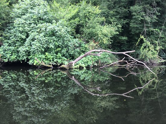 L'Échappée du pêcheur景点图片
