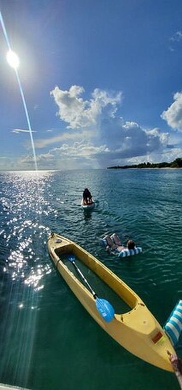 Nauti Mermaid Charters-维切克岛必去景点