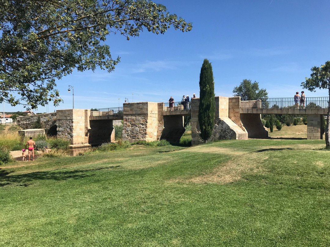 Puente De La Matilla O Puente Viejo