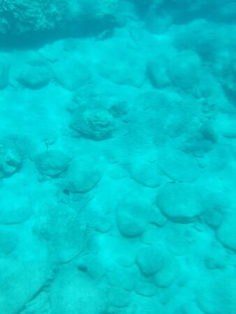 Maui Kayaks-基黑必去景点