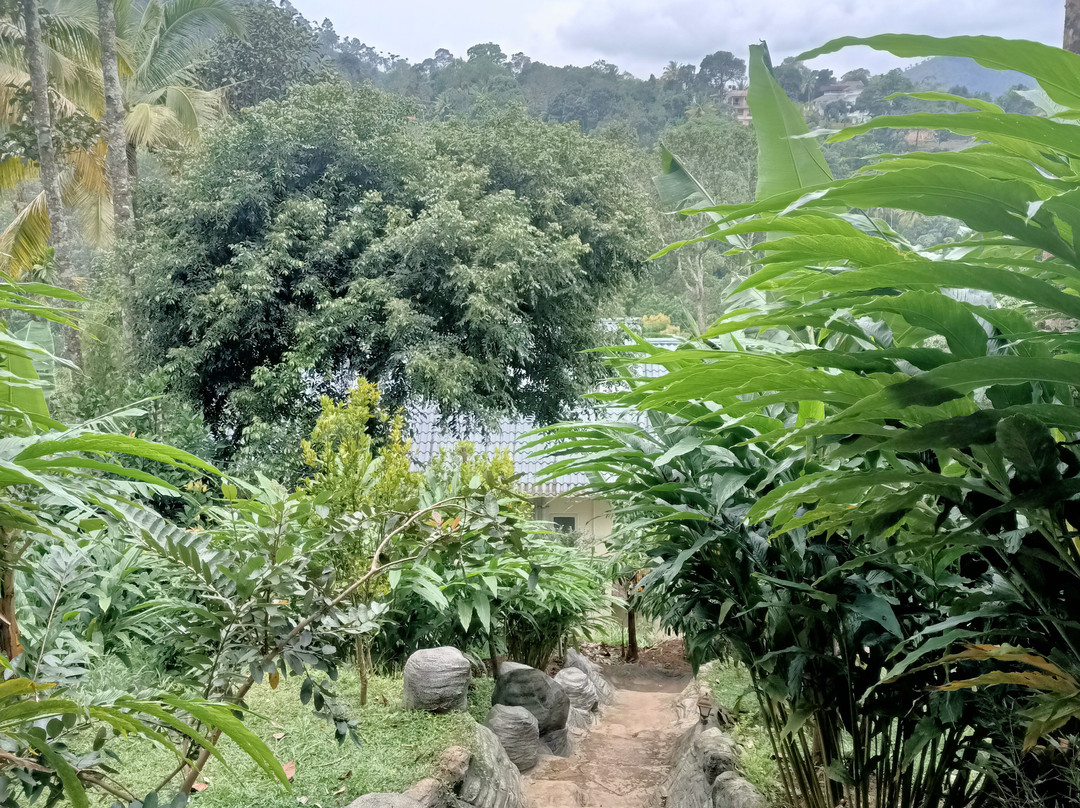 Monrepos Village Resort