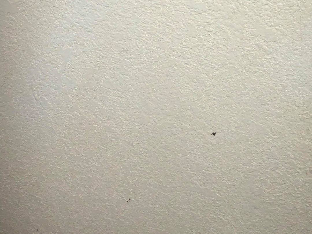 Blue Jay Inn and Suites