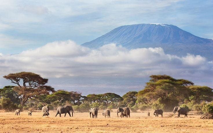 Taste Of Africa Adventures-Kimana必去景点