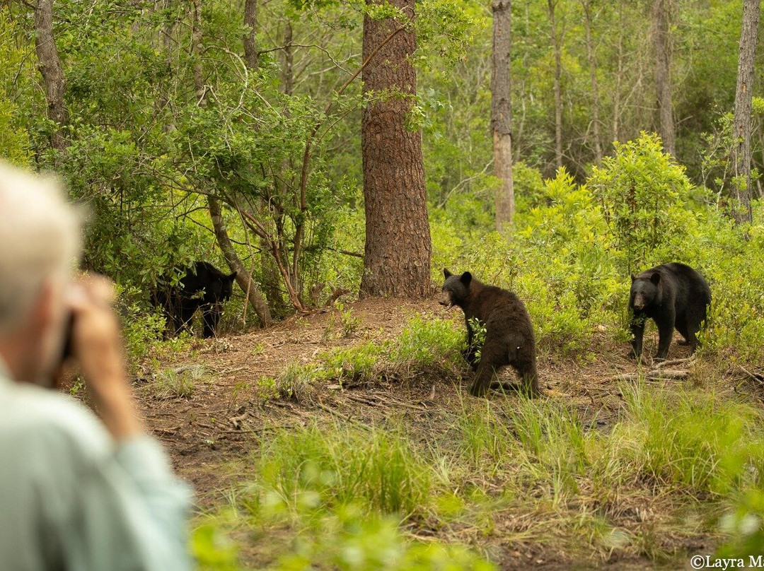 Wildlife Carolina-Swanquarter必去景点