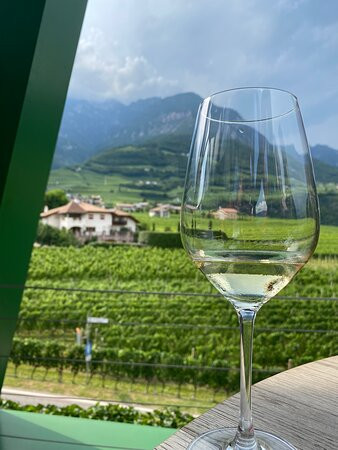 Cantina Tramin景点图片