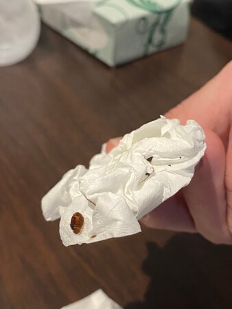 Ocean's Edge Hotel, Port Aransas TX主图