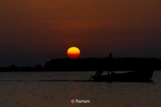 Yuvaraj boat services and bird watching景点图片