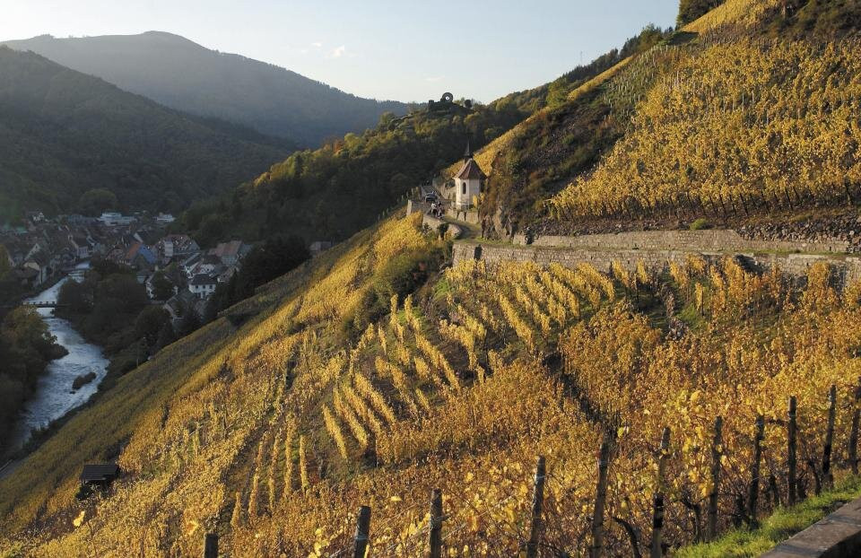 Vignoble Du Rangen