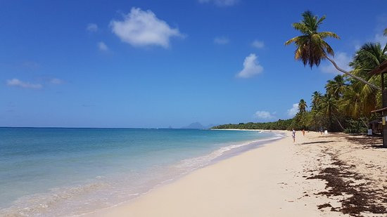 Plage des Salines景点图片