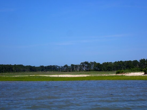 Assateague Explorer Wildlife Cruises-钦科蒂格岛必去景点