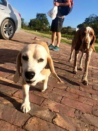 Buffelsdam Country House主图