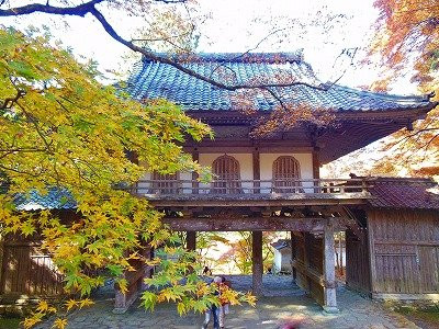 Kougenji Temple-丹波市必去景点