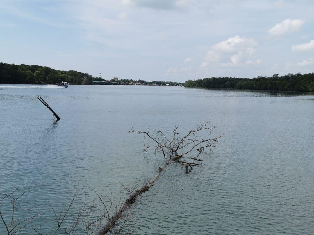 Kuantan River Cruise-关丹必去景点