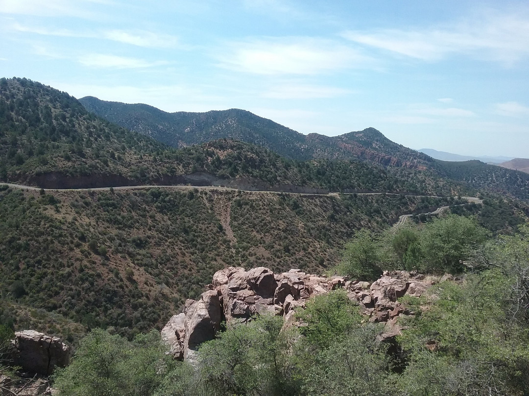 Apache-Sitgreaves National Forest-Springerville必去景点