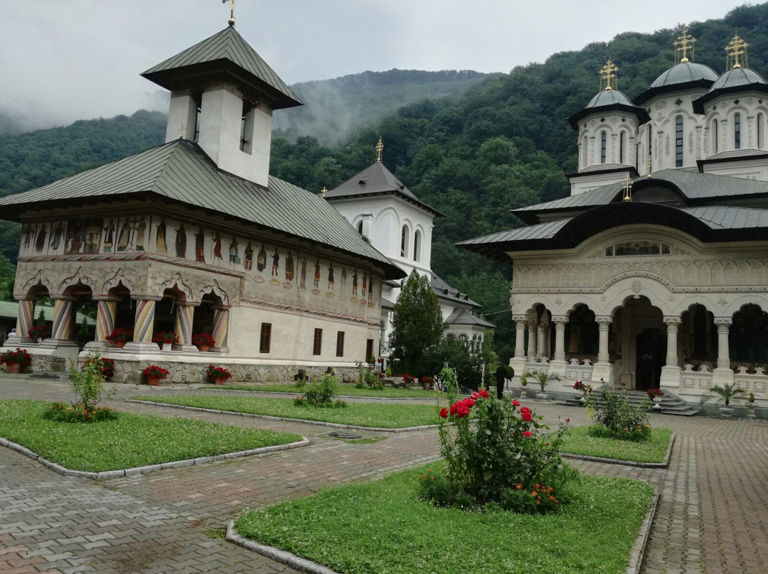 Lainici Monastery景点图片