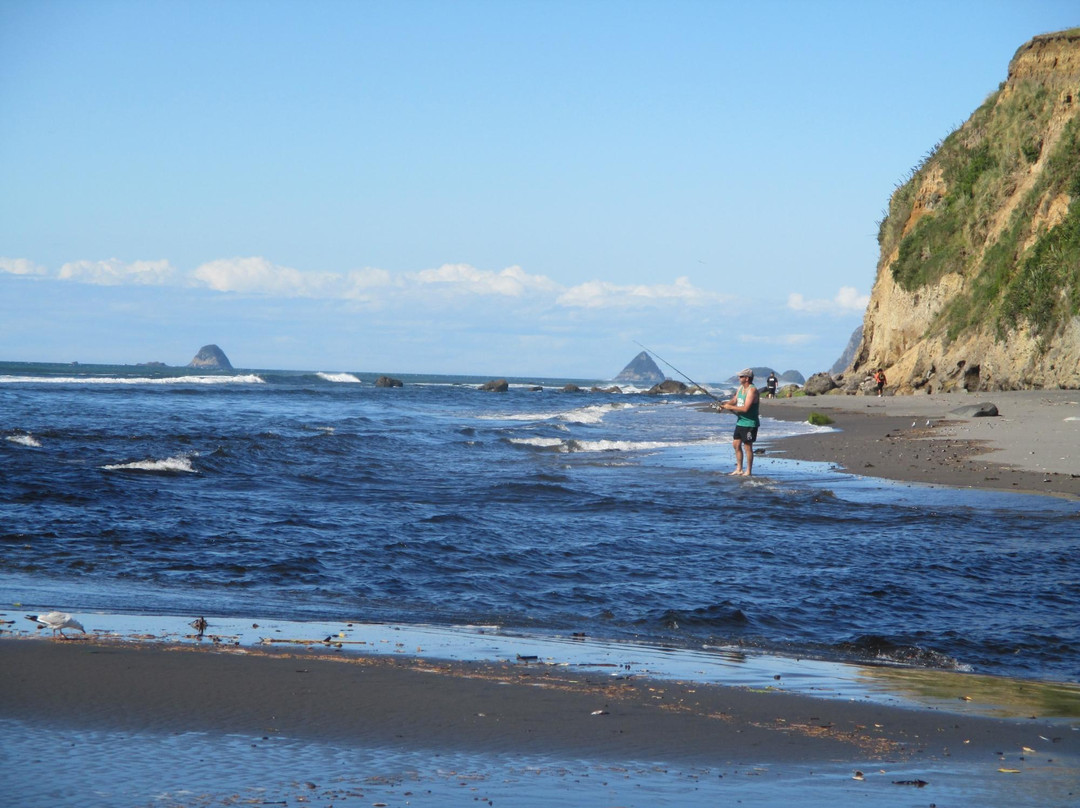 Oakura旅游攻略图片