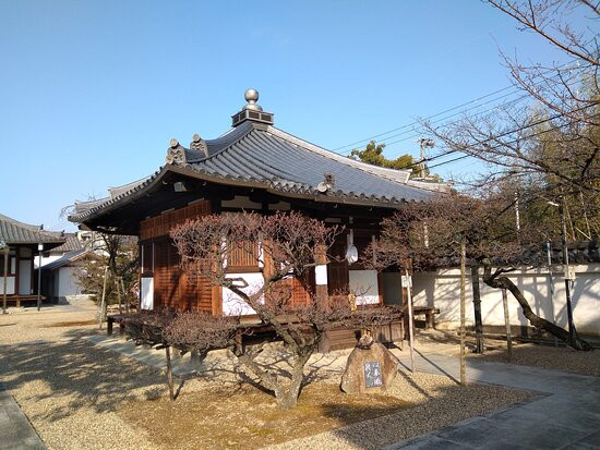 Domyoji Temple-藤井寺市必去景点
