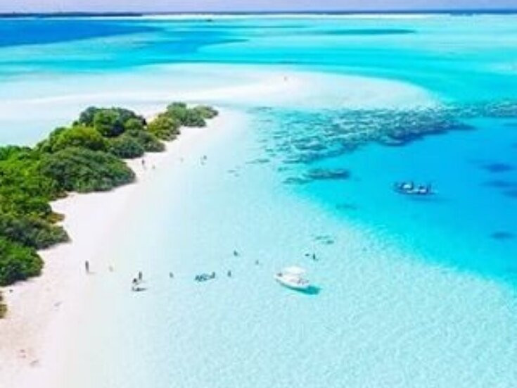 Bali Swing-乌布必去景点