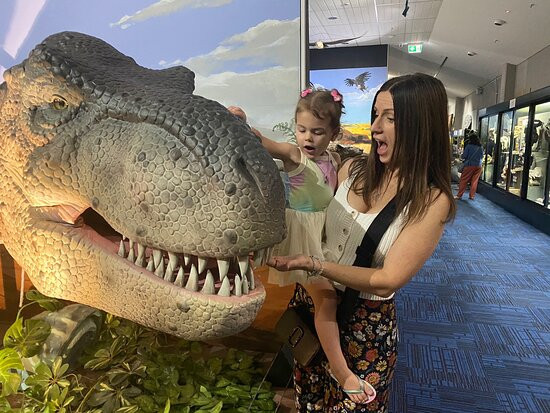 The National Dinosaur Museum景点图片
