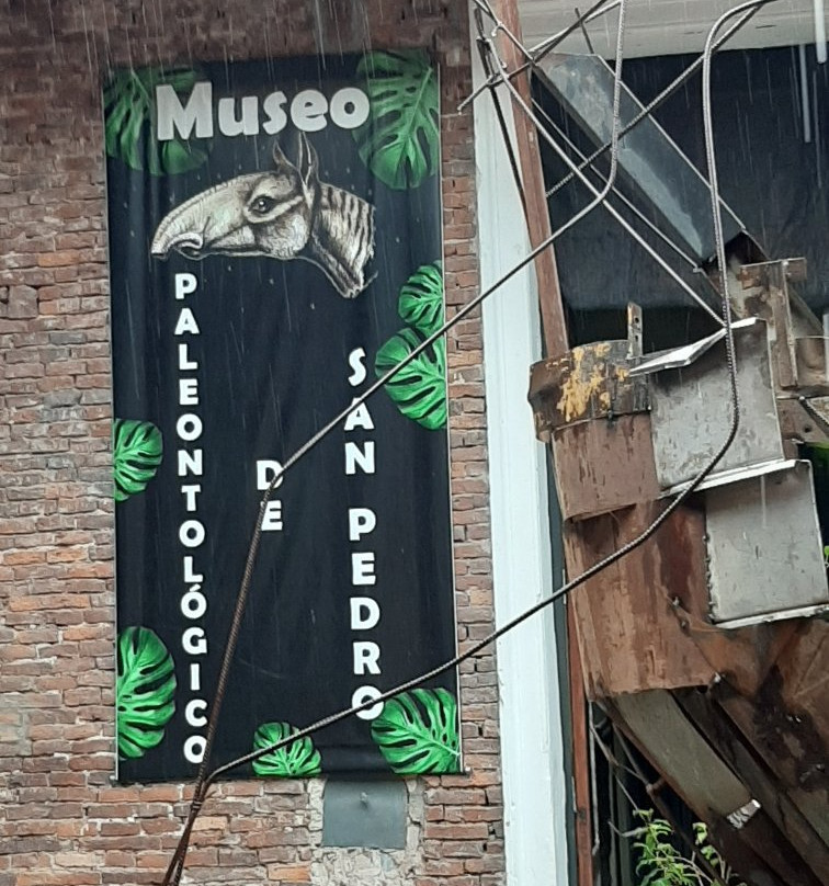 Museo Paleontologico景点图片