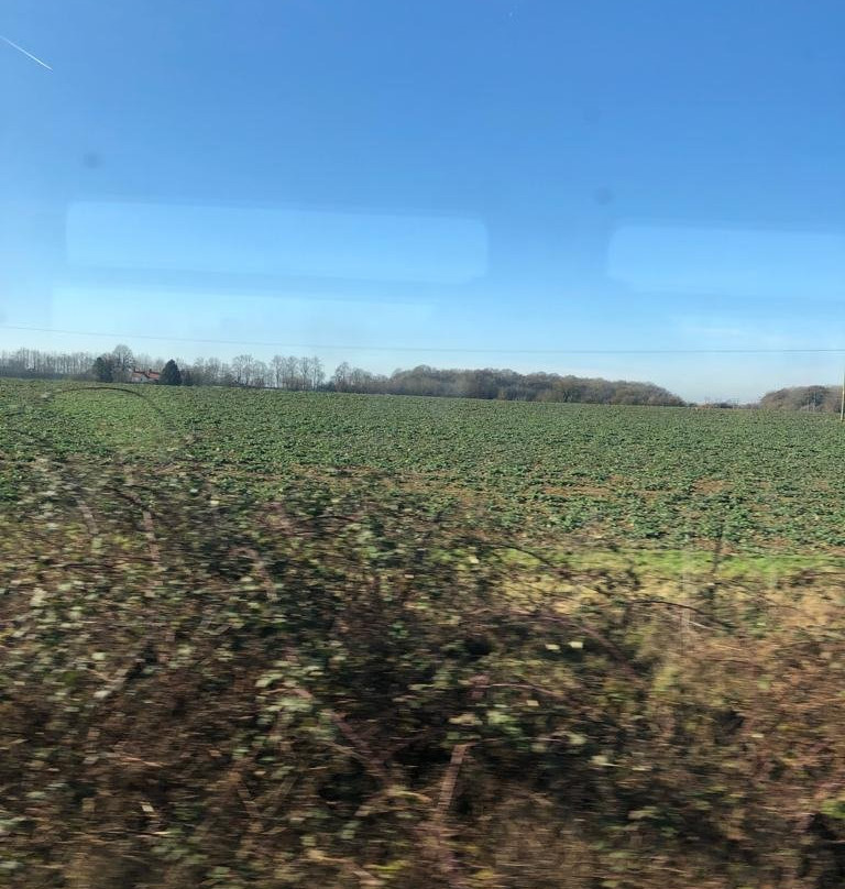 Bicester North Railway Station-Bicester必去景点