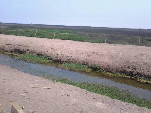 Wetlands of Ventanilla景点图片