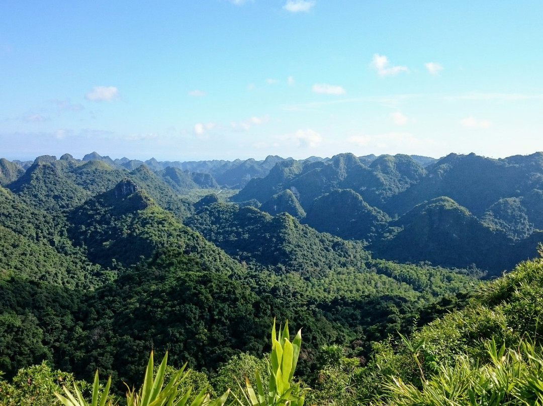 Cat Ba National Park景点图片