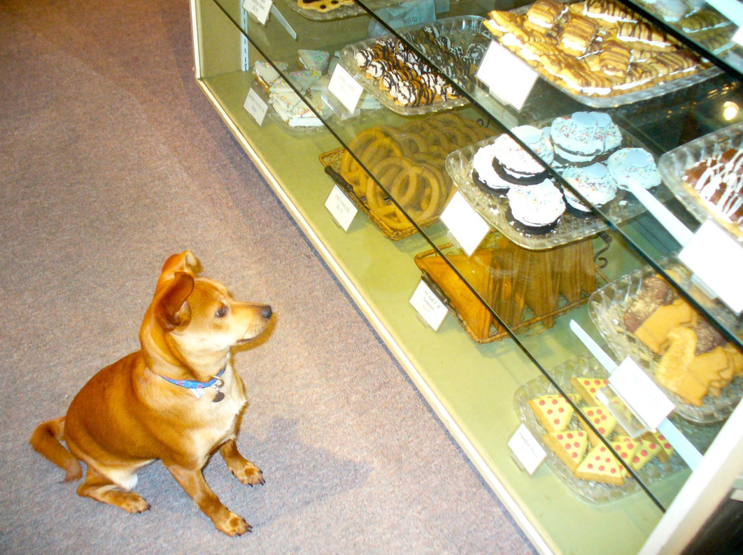 Decadent Dogs-南黑文必去景点