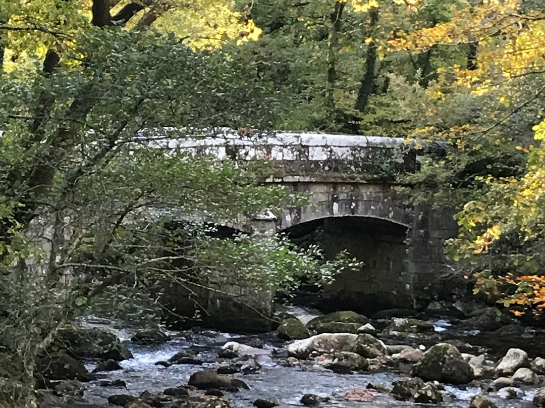 River Plym景点图片
