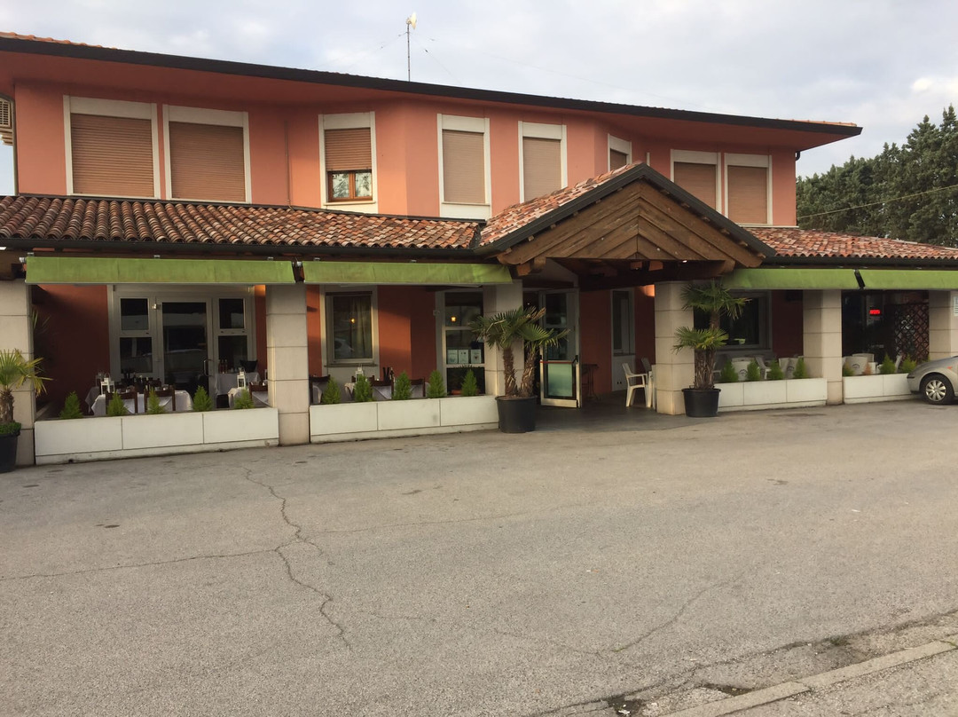 Cippa's