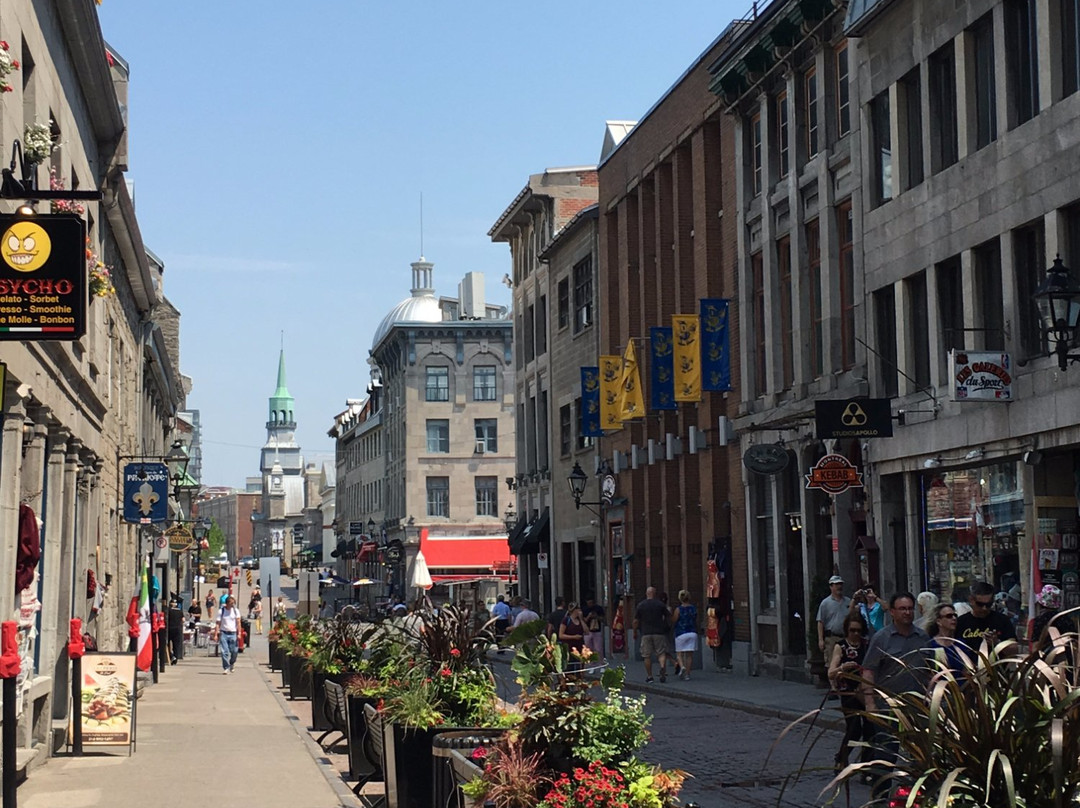 Pointe Claire旅游攻略图片