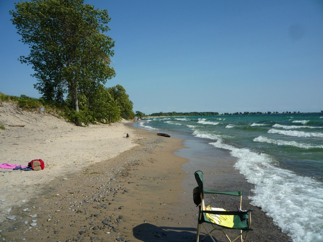Wolfe Island旅游攻略图片